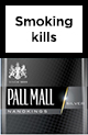 Cheap Pall Mall Nanokings Silver